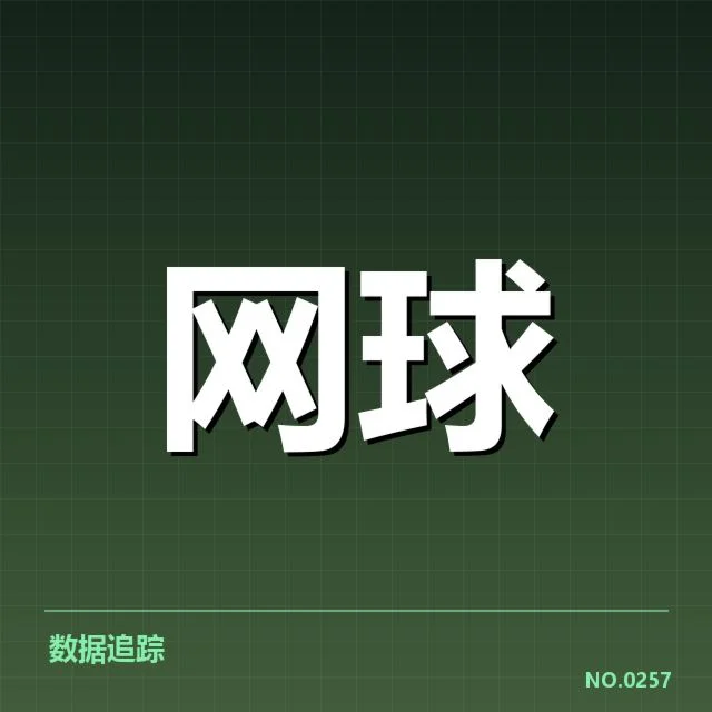 李娜奥运公益活动:她的社会责任感几何